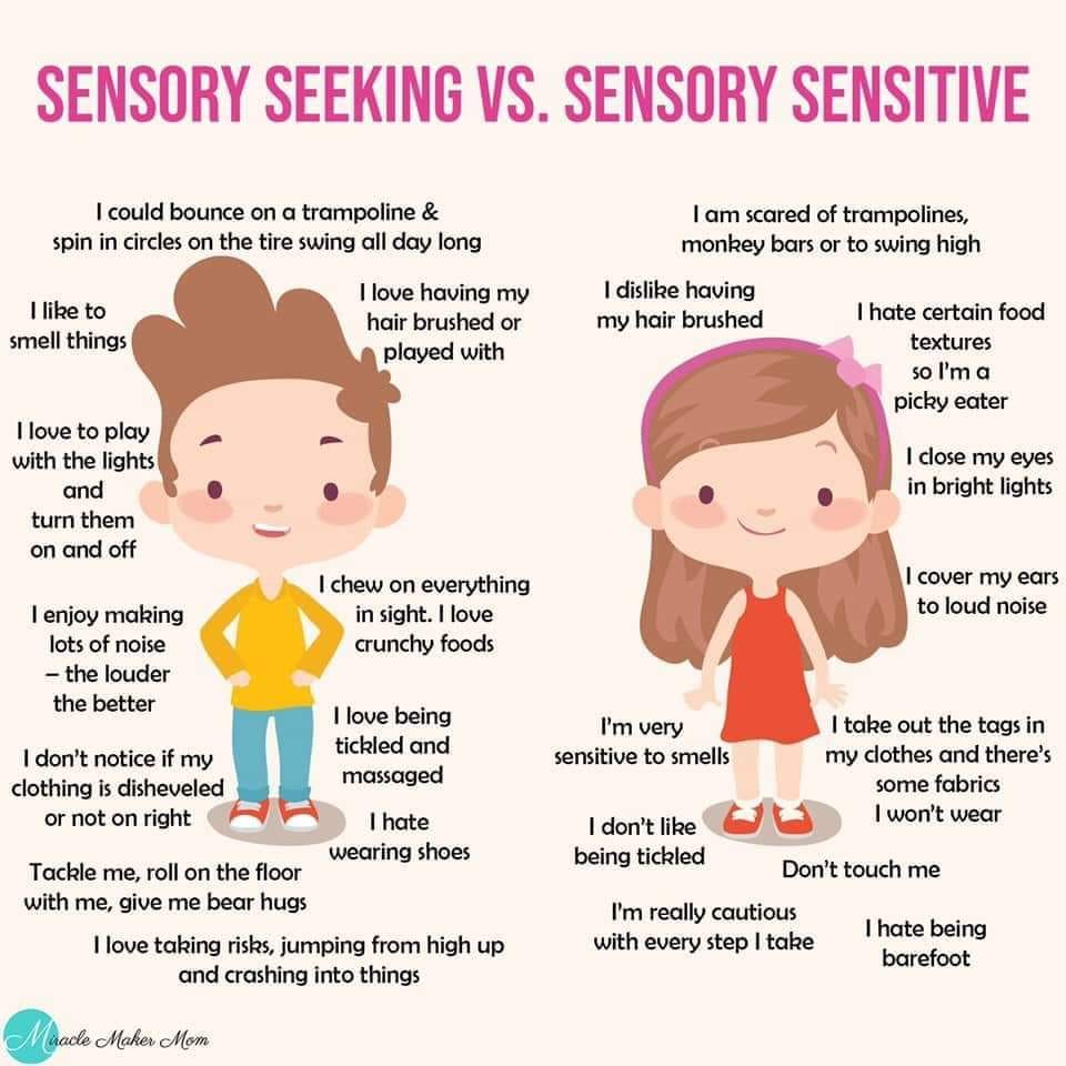 Sensory Seeking vs Sensory Sensitive